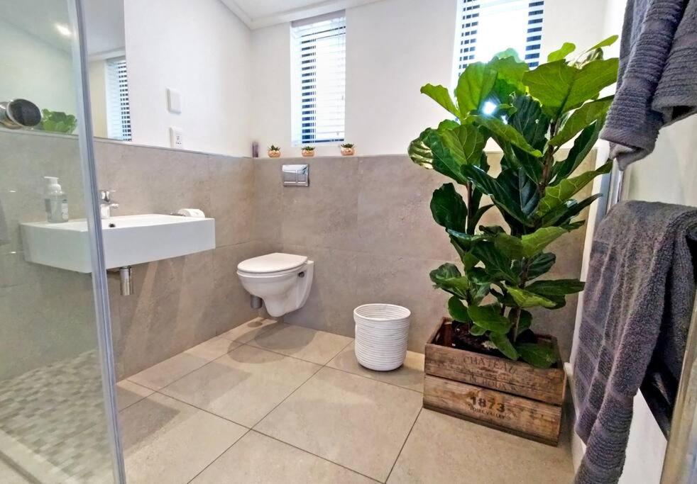 Central Modern Studio Apartment, Hermanus Waterfront Ngoại thất bức ảnh